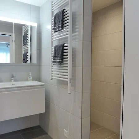 公寓 Feldli By Interhome 迈林根